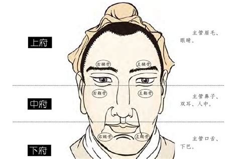 小人相法|面相学